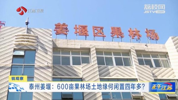 嘉正网 锐观察丨泰州姜堰：600亩果林场土地缘何闲置四年多？