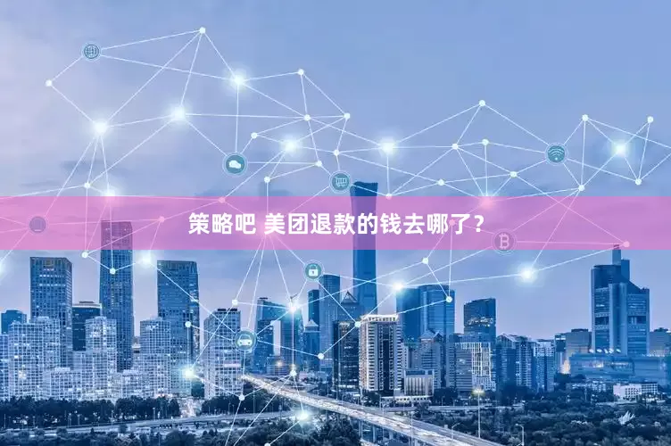 策略吧 美团退款的钱去哪了？