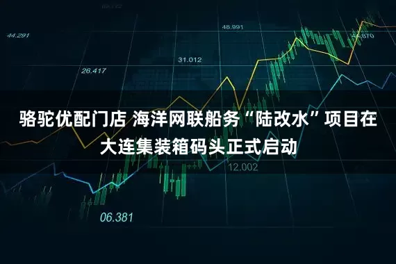 骆驼优配门店 海洋网联船务“陆改水”项目在大连集装箱码头正式启动